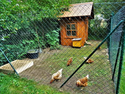 Bild 50 aus  Ferienhof Hohe - Familienfreundlicher Bio Bauernhof in idyllisch gelegenem Dorf.