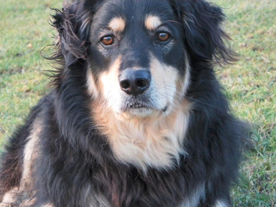 Bild 21 aus  Gutshof Hungerburg