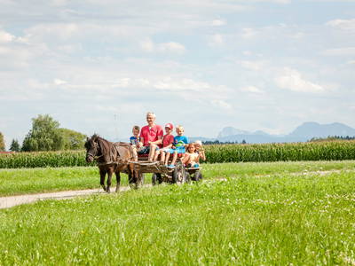 Bild 29 aus  Esterer Hof  ***** - Deutschlands Beliebtester Ferienhof 2022