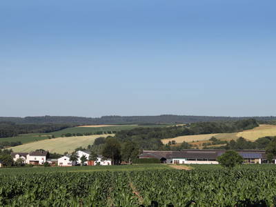 Unser Hof von weitem, rechts mit Blick auf den Mosenberg