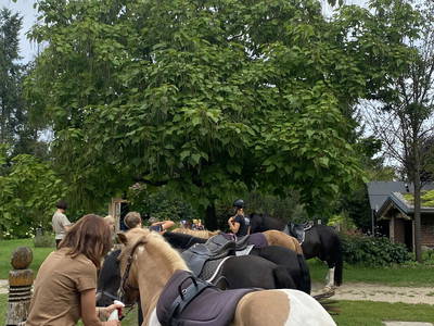 Bild 26 aus  LandSelection Rüsterhof