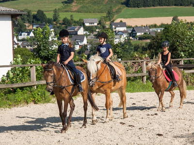 Unser Außenreitplatz befindet sich direkt am Hof