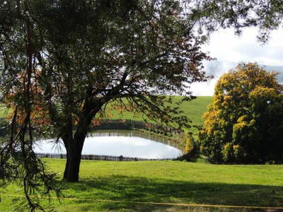 Bild 9 aus  Schadnerhof