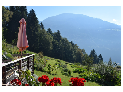 Bild 14 aus  Forstbauer am Millstätter Hochplateau