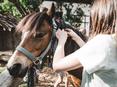 Bild 4 aus  LandSelection Proneben Gut