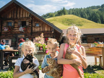 Bild 14 aus  Mittersteghof