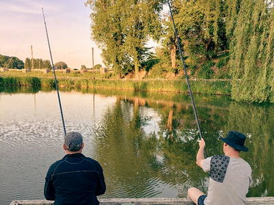 Bild 23 aus  Camping am Hofweiher beim Brunnerhof