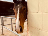 Bild 20 aus  Soodehof  Eins - Ihr Kinder-Erlebnisbauernhof in Nordhessen