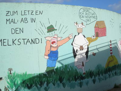 Bild 13 aus  Ferienhof Landfrieden