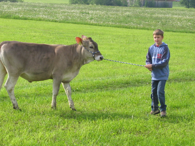 Bild 8 aus  Ferienhof Greis