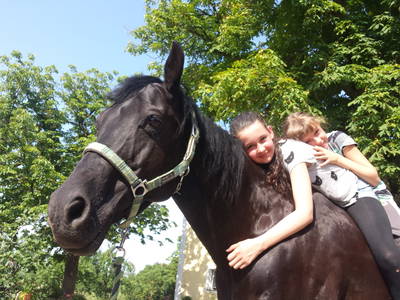 Bild 6 aus  Ferienhof Neudeck