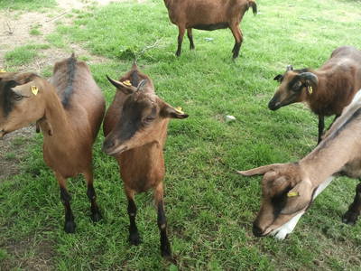 Bild 19 aus  Hof Janssen