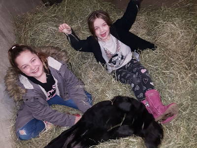 Bild 49 aus  Familien-Bauernhofurlaub im Herzen der Schweiz