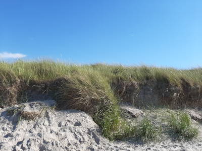 Bild 39 aus  Ferienhof Claußen