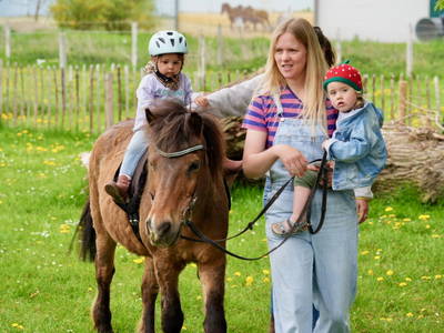 Bild 4 aus  Osterhof Fehmarn - mit Hofladen, Hofprogramm und Ayurveda-Wellness