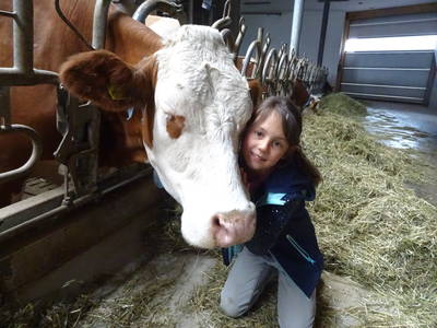 Bild 16 aus  Schötzerhof