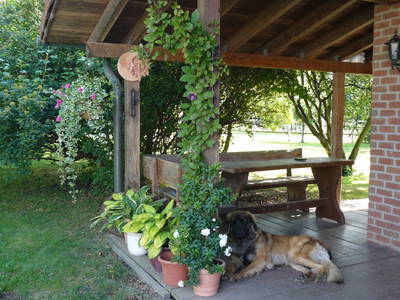 Bild 5 aus  Mühlberghof