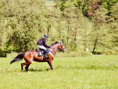 Bild 34 aus  Soodehof  Eins - Ihr Kinder-Erlebnisbauernhof in Nordhessen