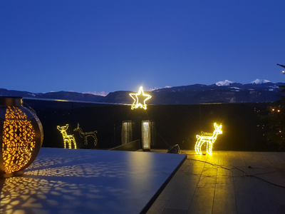 Bild 9 aus  Apart Hotel Malga