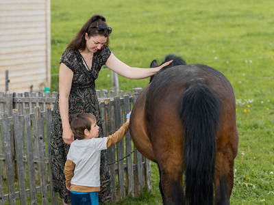 Bild 26 aus  Schädlerhof