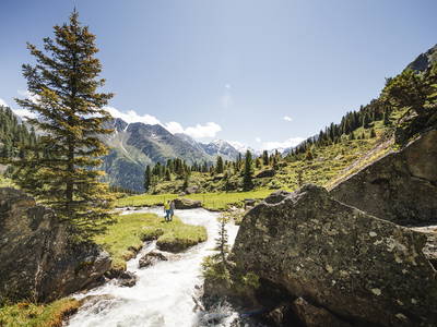 Bild 16 aus  Haus Gletscherblick