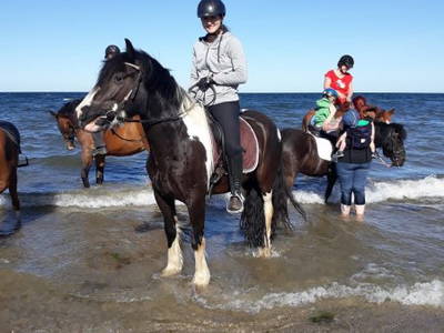 Bild 35 aus  Ferienhof Rauert