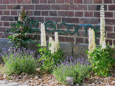 Bild 32 aus  Ponyhof Georgenbruch - Gutshof mit Ferienwohnungen, Pensionsstall und Reitschule