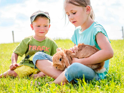 Bild 47 aus  Panoramahof