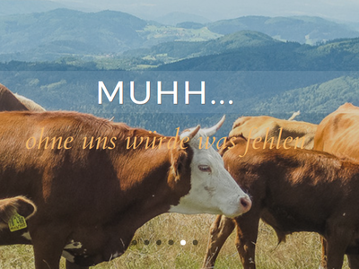 Bild 9 aus  Hanisenhof