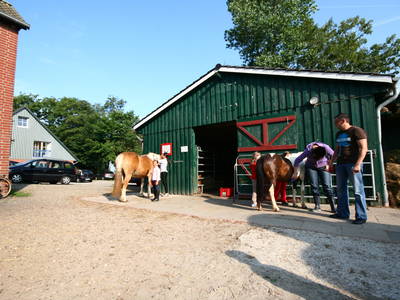 Bild 18 aus  Ferienhof Peter -  Ponys - streicheln, striegeln, füttern  -  Wattwanderungen + ganz viel Nordsee