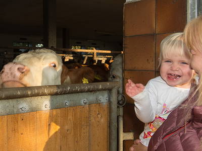 Bild 23 aus  Marksteinhof