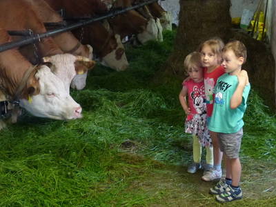 Bauernhof haut nah erleben, für Kinder das größte.