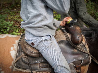 Bild 6 aus  Der Wassermannshof