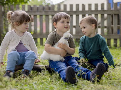 Bild 26 aus  Ferienbauernhof Ohr