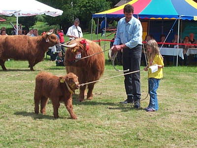 Bild 14 aus  Hotel Gasthof Sieberzmühle