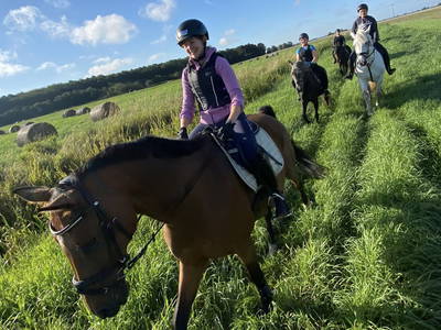 Bild 35 aus  LandSelection Gut Gaarz