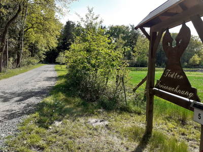 Bild 6 aus  Ferienhof Tödter