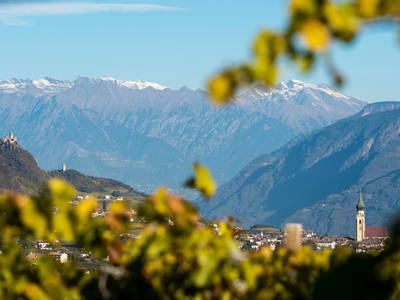 Bild 17 aus  Nofnerhof