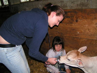 Bild 39 aus  Familien-Bauernhofurlaub im Herzen der Schweiz