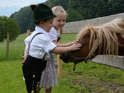 Bild 14 aus  Wastelbauerhof in Bernau am Chiemsee