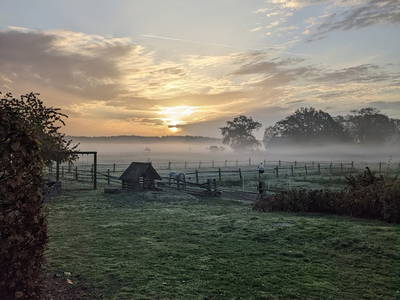 Bild 17 aus  Ferienbauernhof