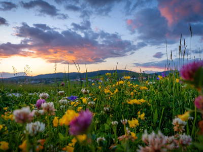 Bild 42 aus  Arber Lofts