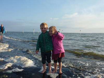 Bild 34 aus  Hof  Schmörholm Urlaubs- und Früchtehof