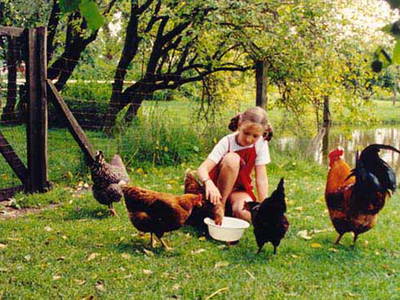 Bild 5 aus  Bio-Wildhof in Alleinlage mit  Boot