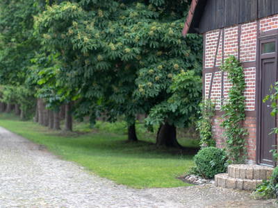 Bild 21 aus  Hof Flottwedel