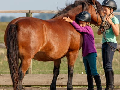 Bild 15 aus  Rügen-Ferienhof