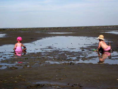 Bild 14 aus  Bioland - Bauernhof Andreßen