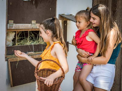 Foto von Oberpfälzer Wald