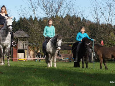 Bild 15 aus  Unterfürberg-Hof