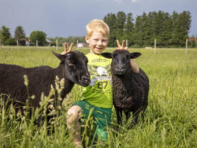 Bild 2 aus  Zaißlhäusl Hof inkl. Chiemgau-Karte ab 1.5.2026